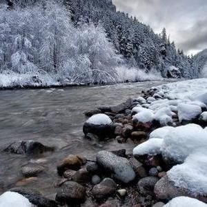 Meet your Posher, Doris